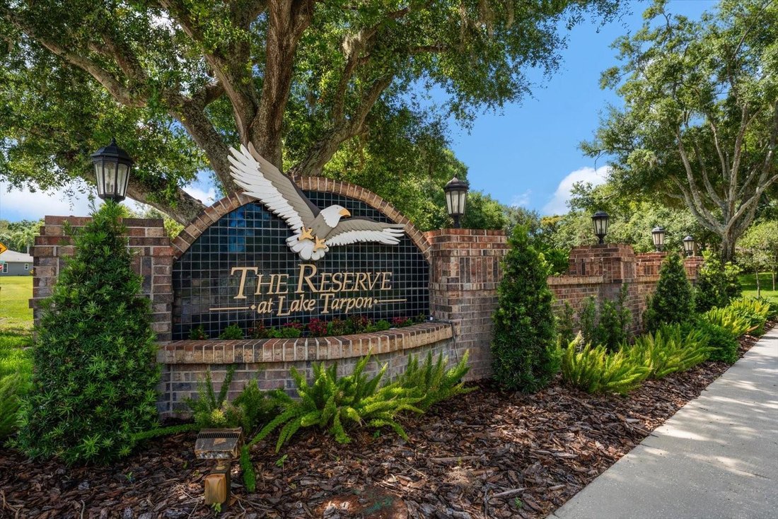 House in Palm Harbor, Florida, United States 2 - 18211203