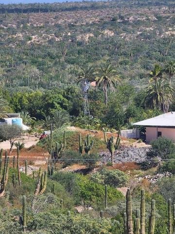 Land in El Coyote Dos, Baja California Sur, Mexico 3 - 18212657