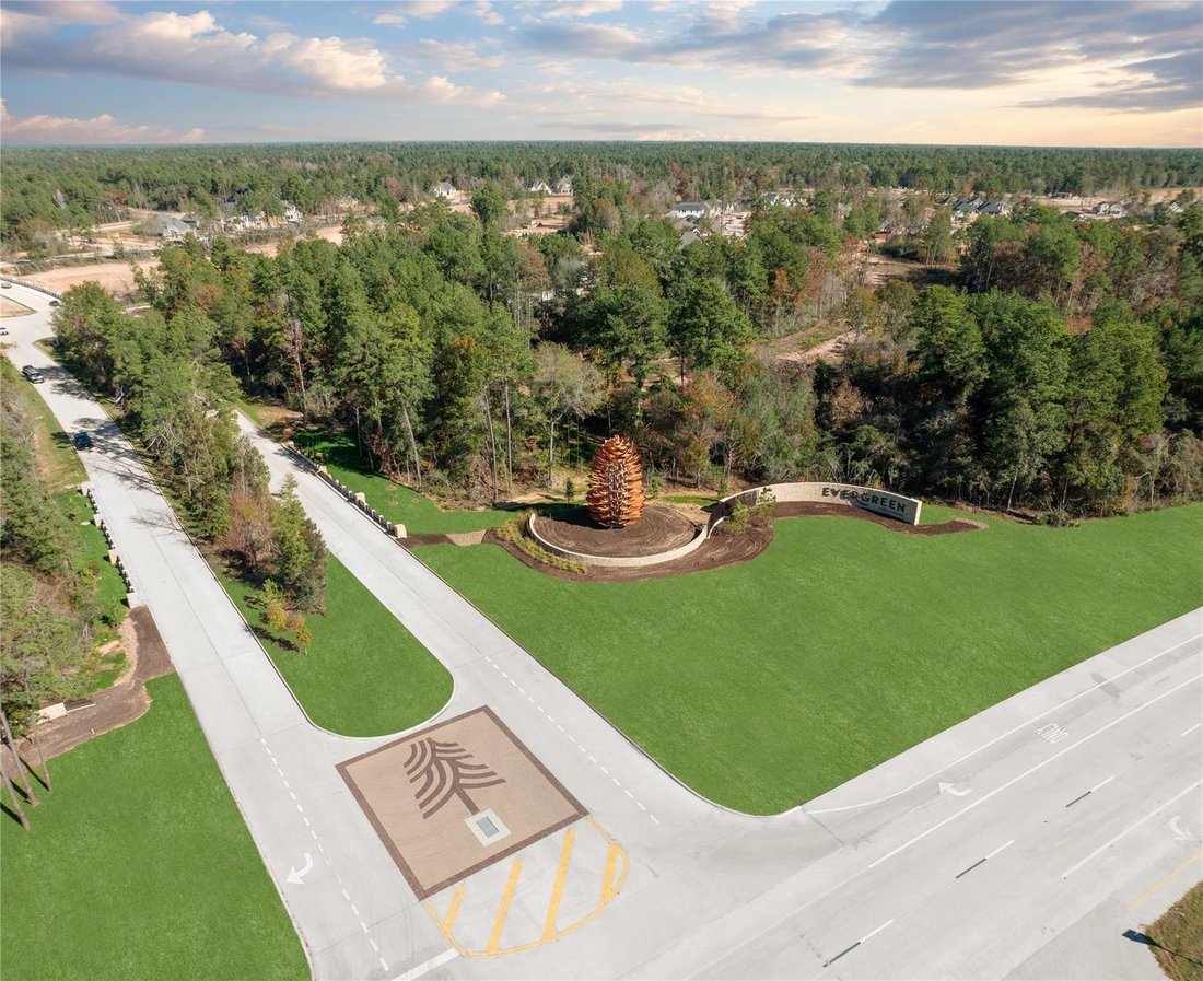 House in Conroe, Texas, United States 5 - 18212050