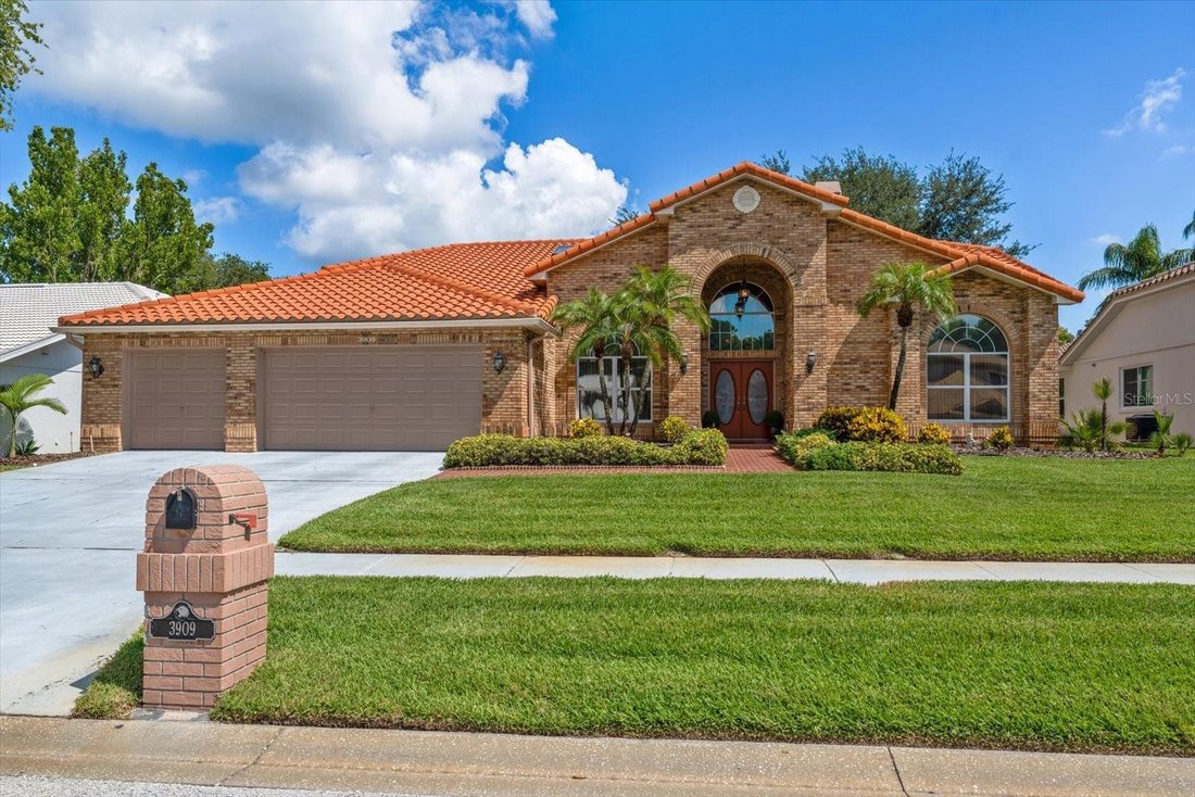 House in Palm Harbor, Florida, United States 1 - 18211203