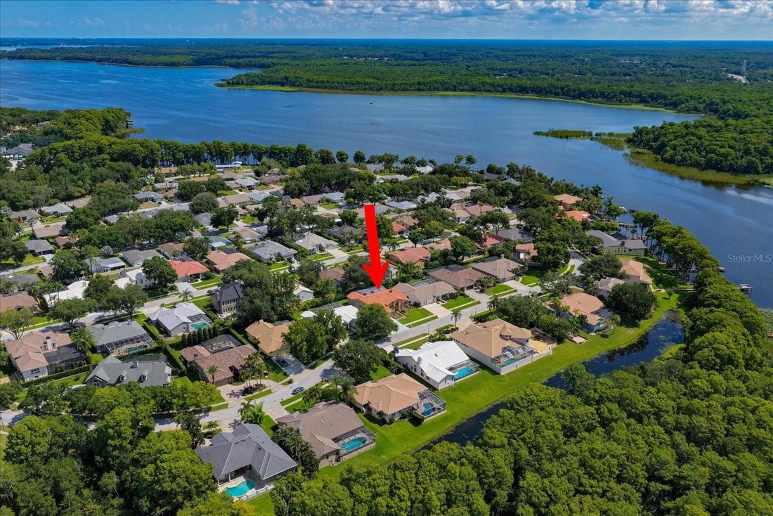House in Palm Harbor, Florida, United States 3 - 18211203