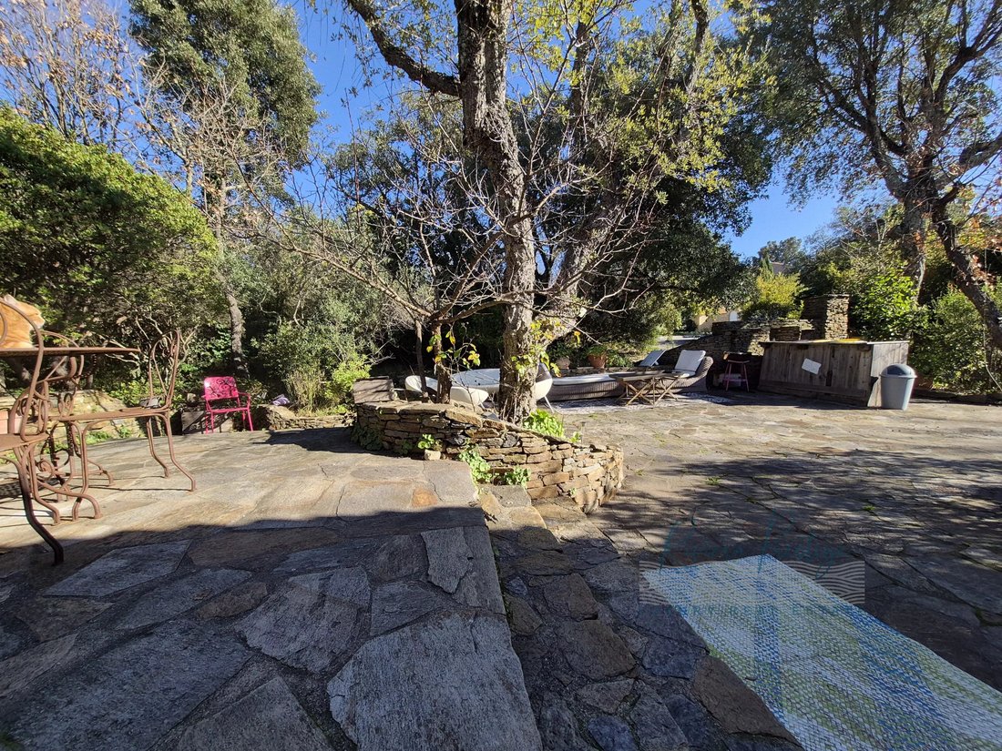 Villa in Gassin, Provence-Alpes-Côte d'Azur, France 5 - 17220715