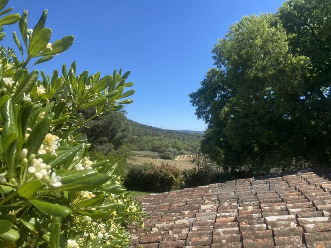 Farm Ranch in Grimaud, Provence-Alpes-Côte d'Azur, France 4 - 15252991