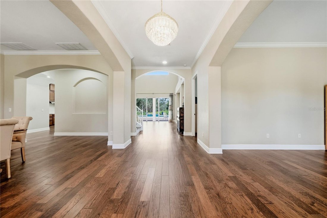 House in Odessa, Florida, United States 5 - 18211194