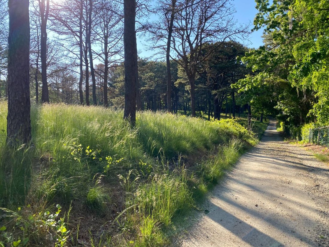 Land in Southampton, New York, United States 4 - 18212966