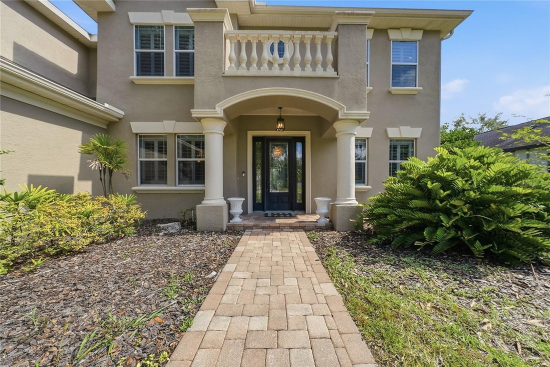 House in Odessa, Florida, United States 4 - 18211194