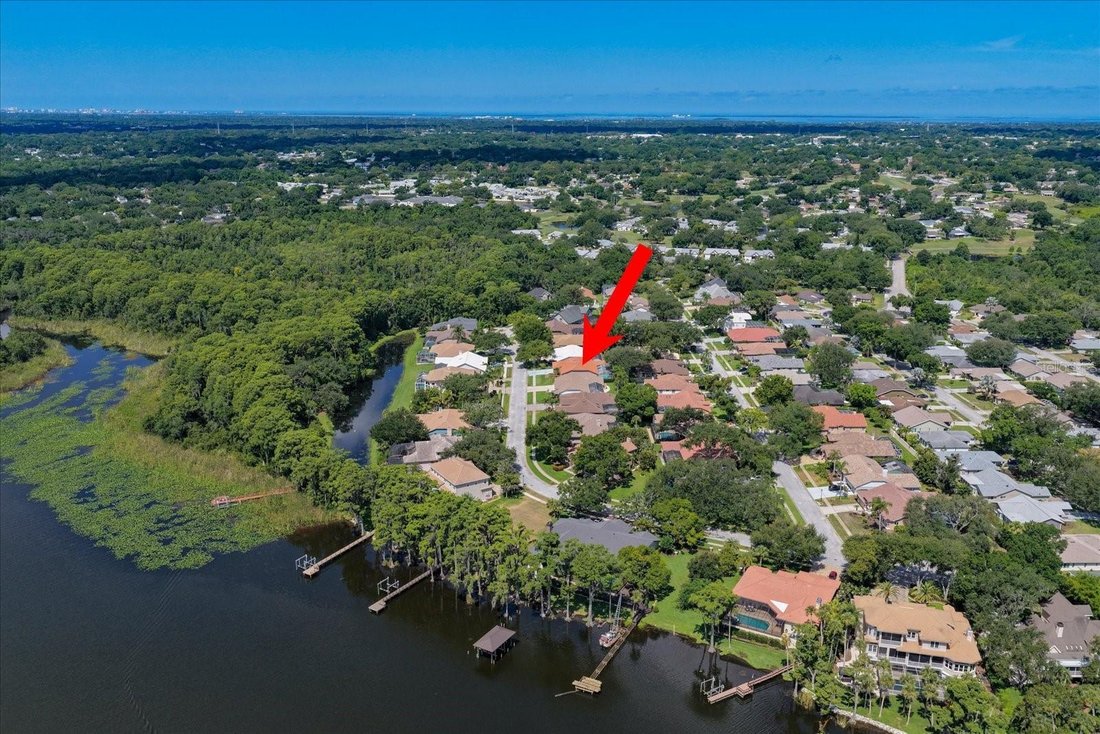 House in Palm Harbor, Florida, United States 4 - 18211203