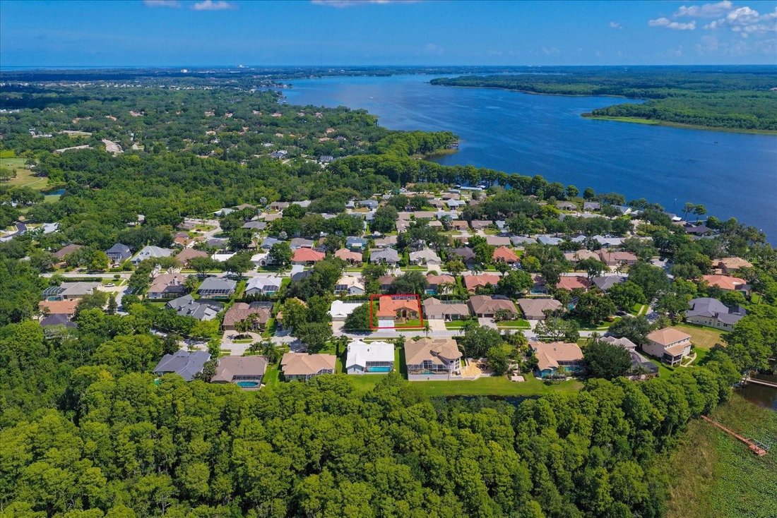 House in Palm Harbor, Florida, United States 5 - 18211203