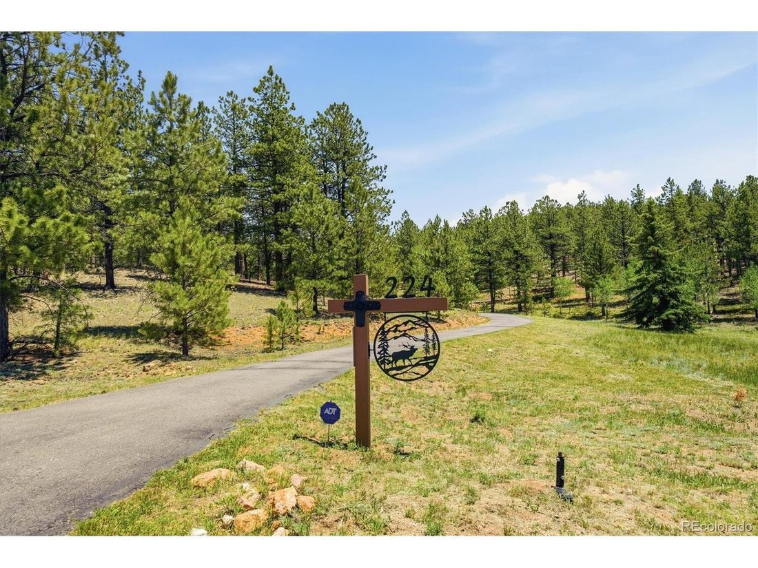 House in Bailey, Colorado, United States 4 - 18211369