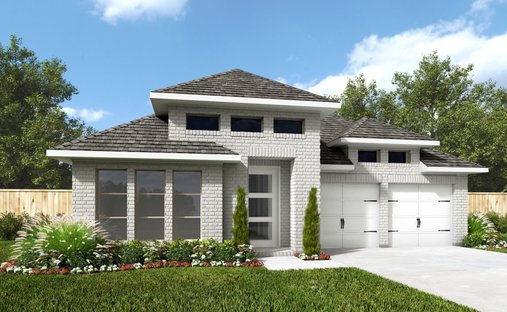 House in Conroe, Texas, United States 1
