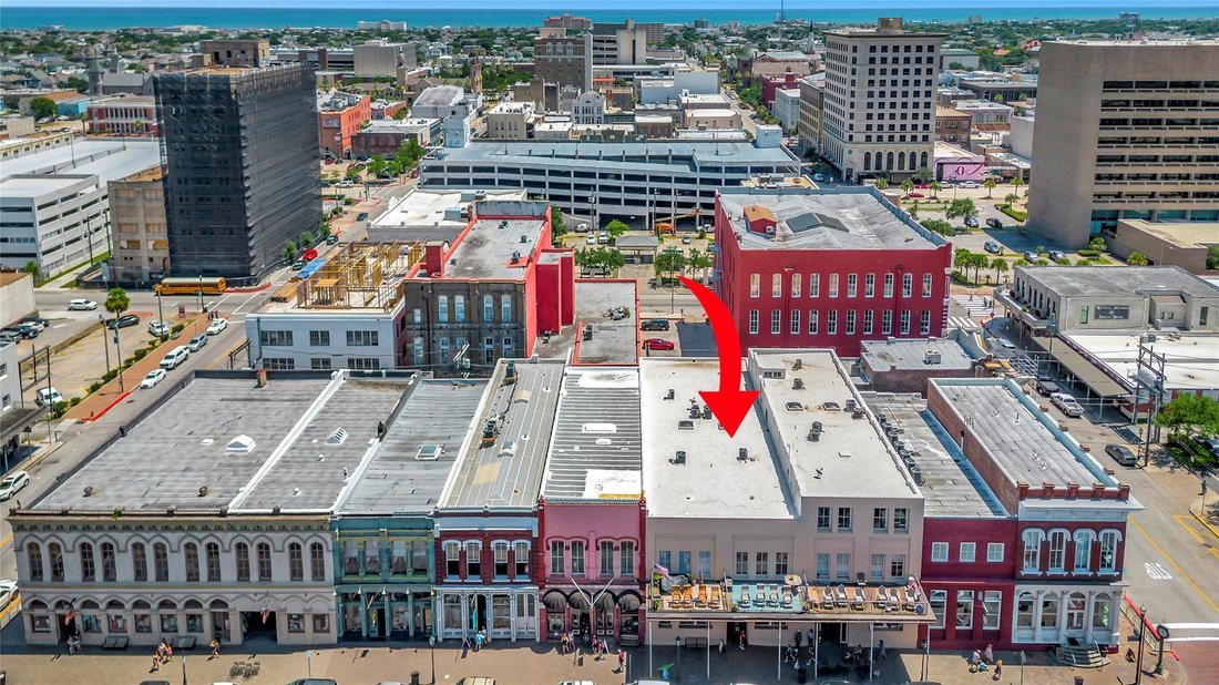 Galveston, Texas, United States 2 - 18211988
