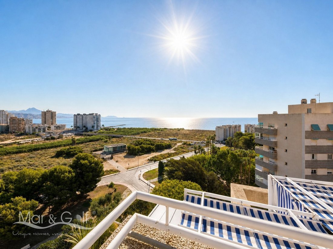Apartment in el Campello, Valencian Community, Spain 1 - 18211012