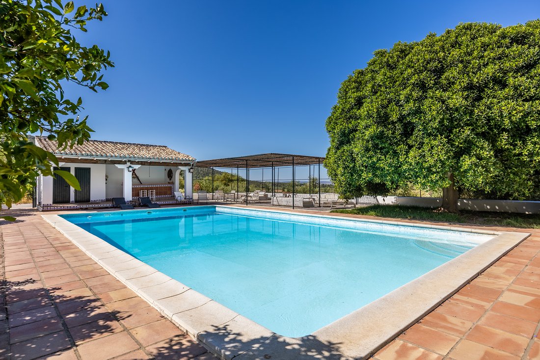 Finca in Villamartin, Andalusia, Spain 3 - 16295507