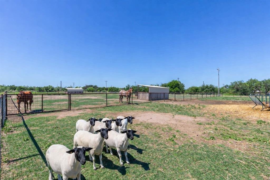 House in Abilene, Texas, United States 3 - 18212197