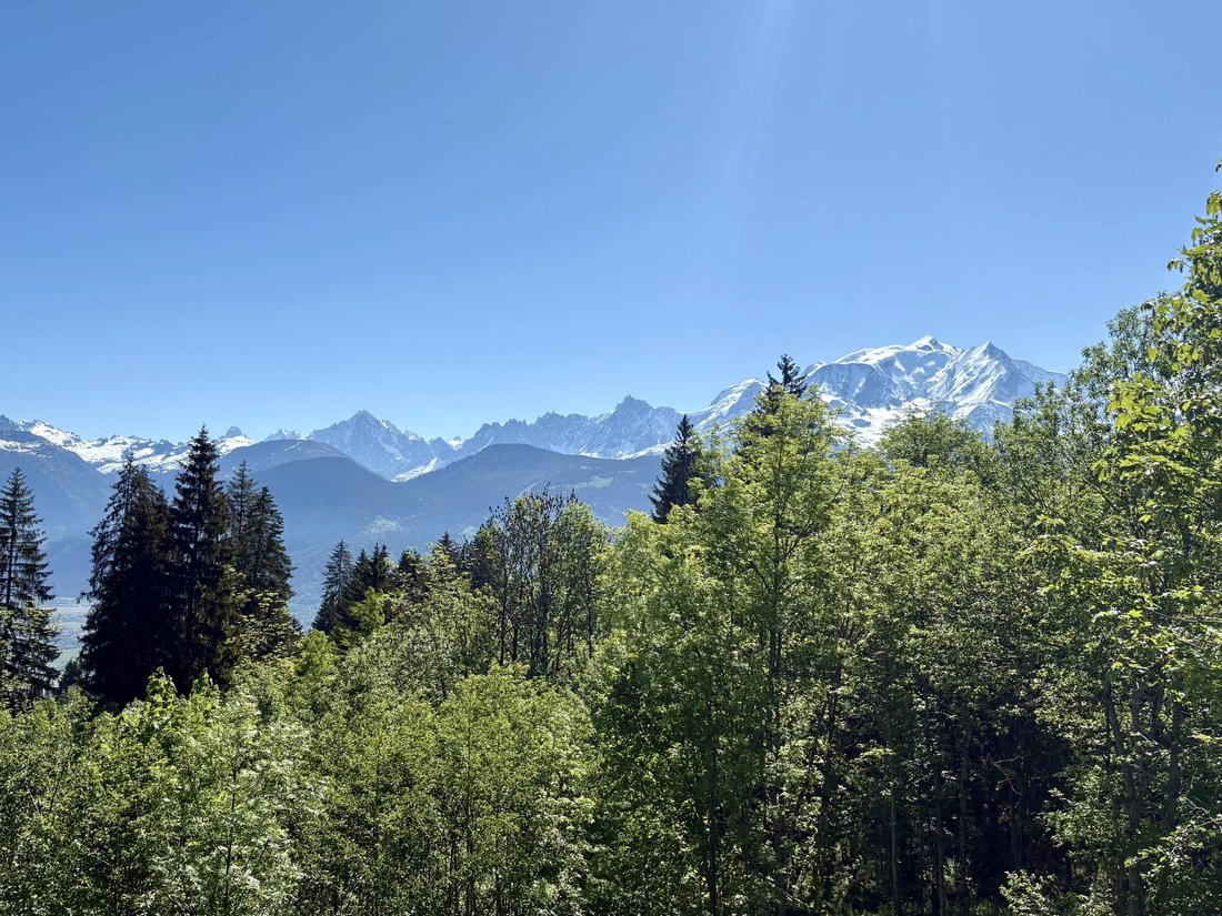 Apartment in Combloux, Auvergne-Rhône-Alpes, France 4 - 18212370