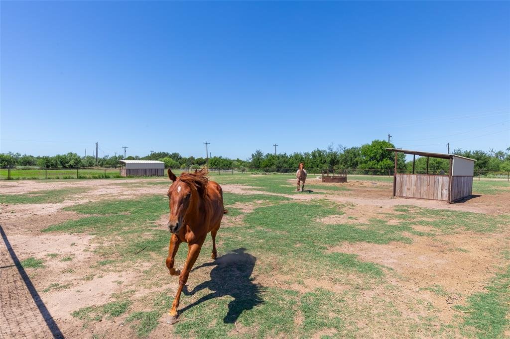 House in Abilene, Texas, United States 1 - 18212197