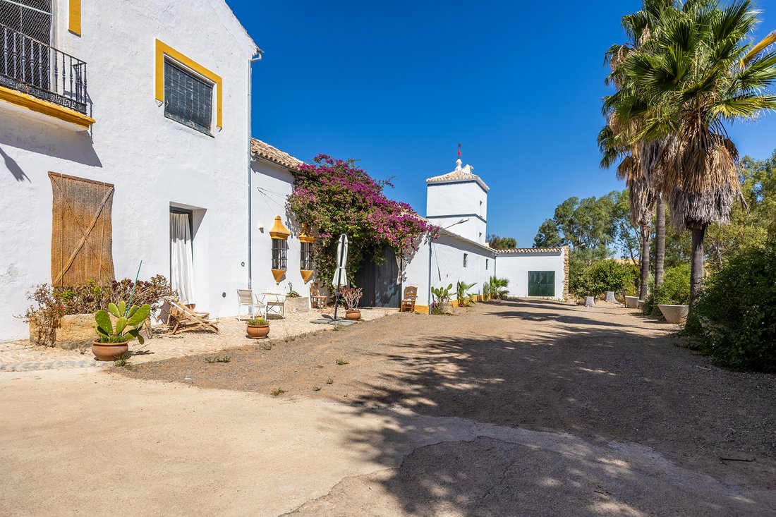 Finca in Villamartin, Andalusia, Spain 4 - 16295507