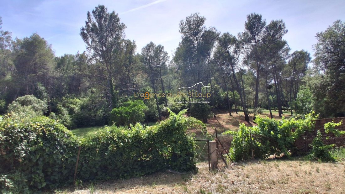 Villa in Sud, Montferrier-sur-Lez, France 4 - 18115494