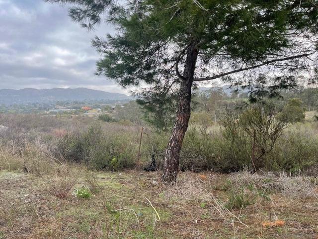 Land in Jamul, California, United States 2 - 18218352