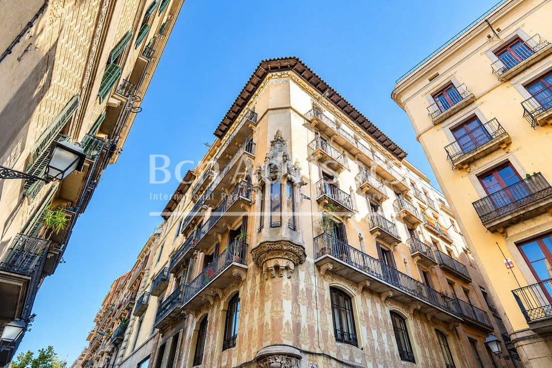 Apartment in Ciutat Vella, Barcelona, Spain 1 - 18217729