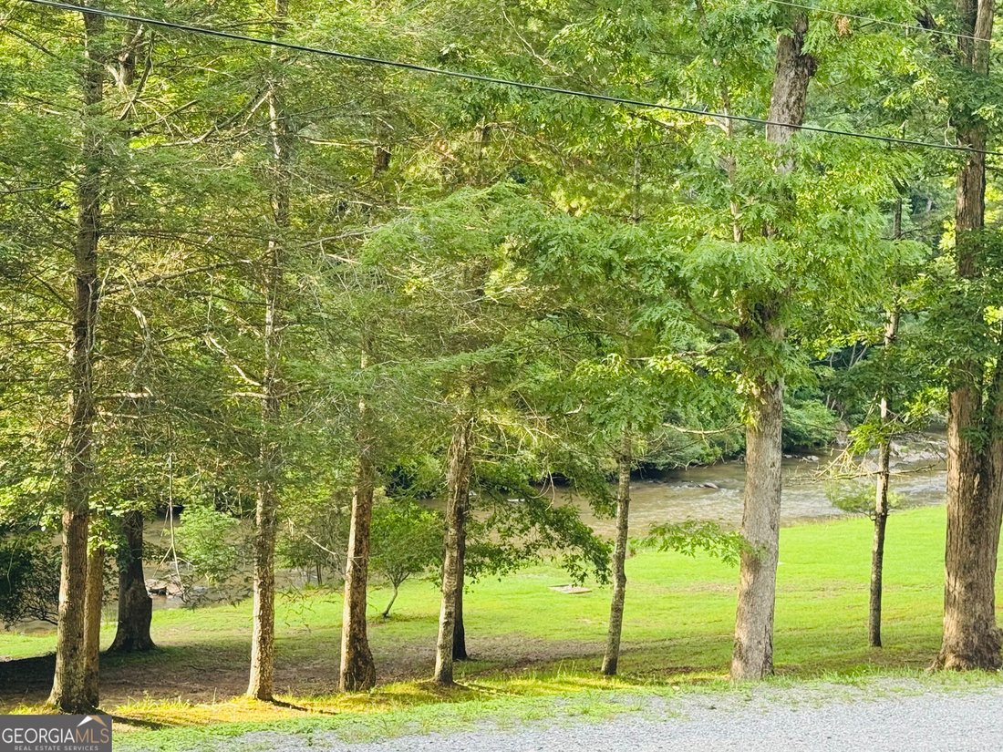 House in Ellijay, Georgia, United States 3 - 18216819