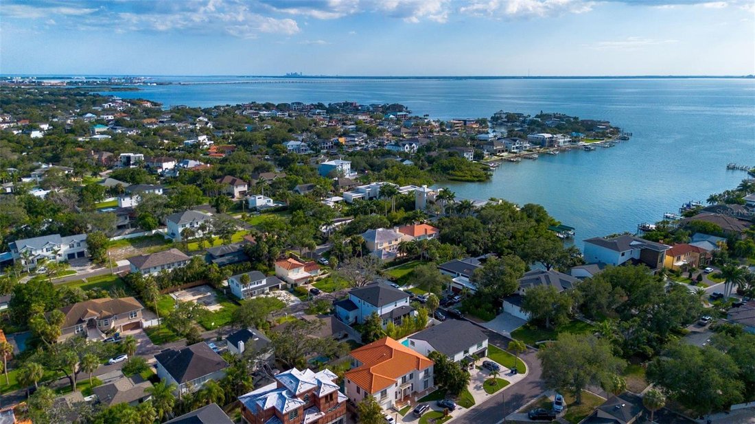 House in Tampa, Florida, United States 1 - 18215734