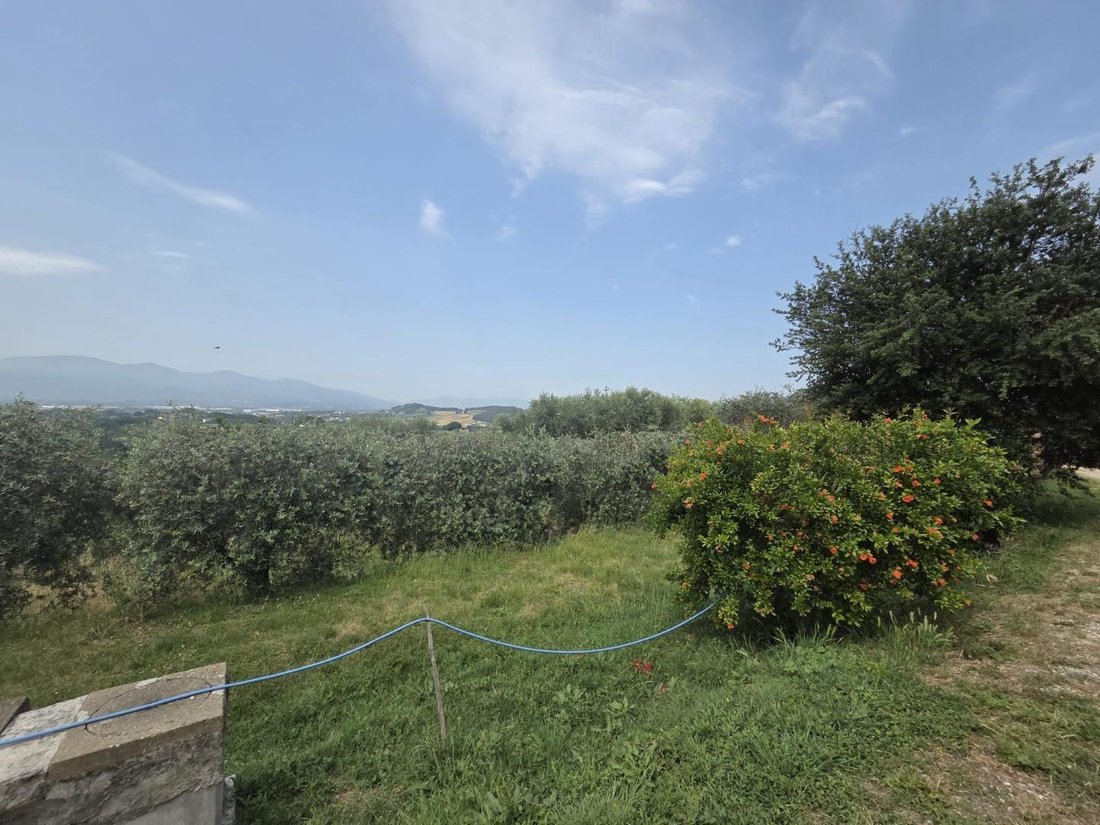 Country House in Montecarlo, Tuscany, Italy 4 - 18216300