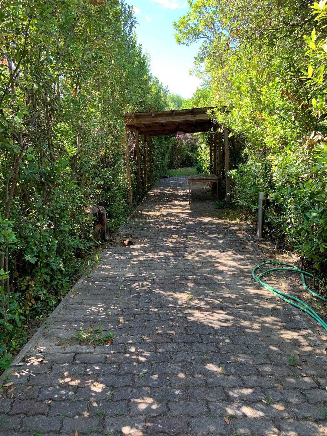 Villa in Punta Ala, Castiglione della Pescaia, Tuscany 2 - 18216881