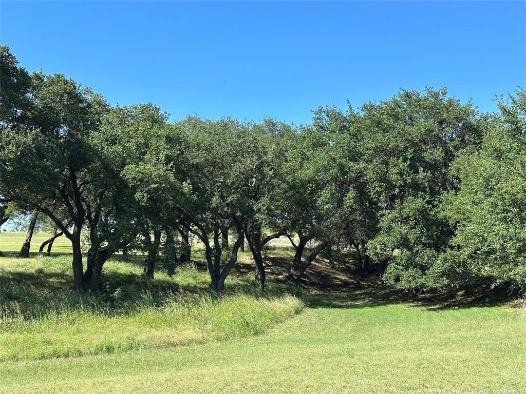 House in Comanche, Texas, United States 5 - 18217274