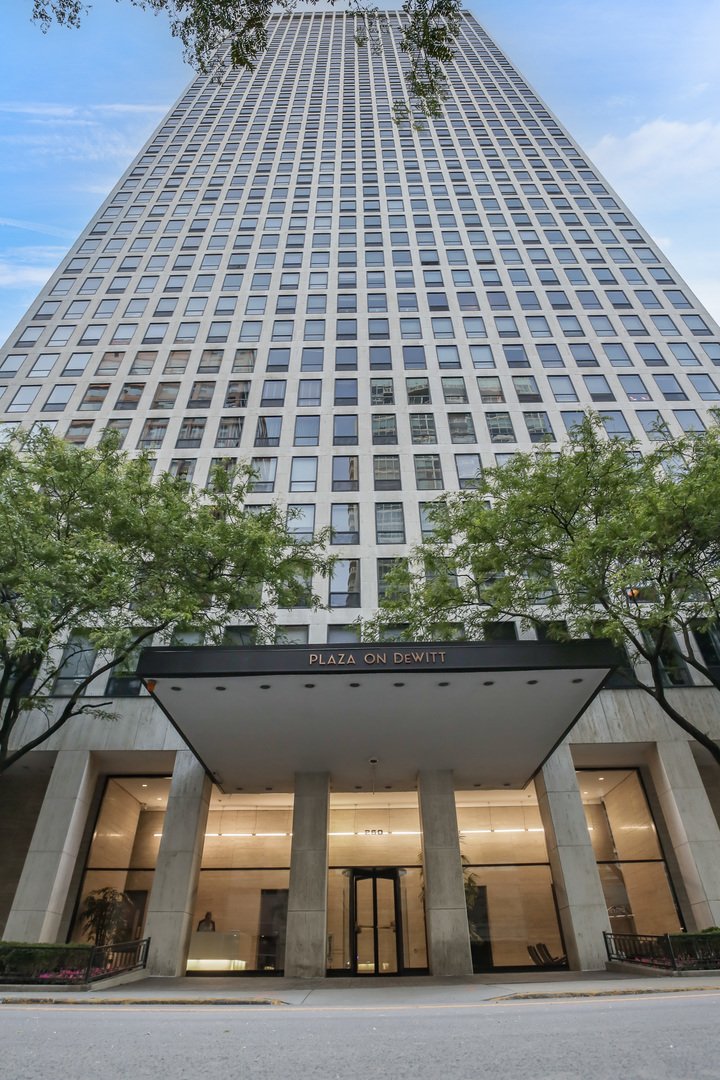 Condo in Chicago, Illinois, United States 5 - 18216434