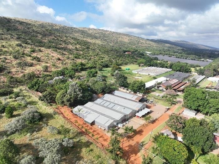 Farm Ranch in Pretoria Central, Gauteng, South Africa 4 - 18217811