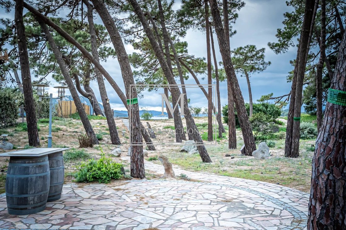 Villa in Lecci, Corsica, France 4 - 17634947