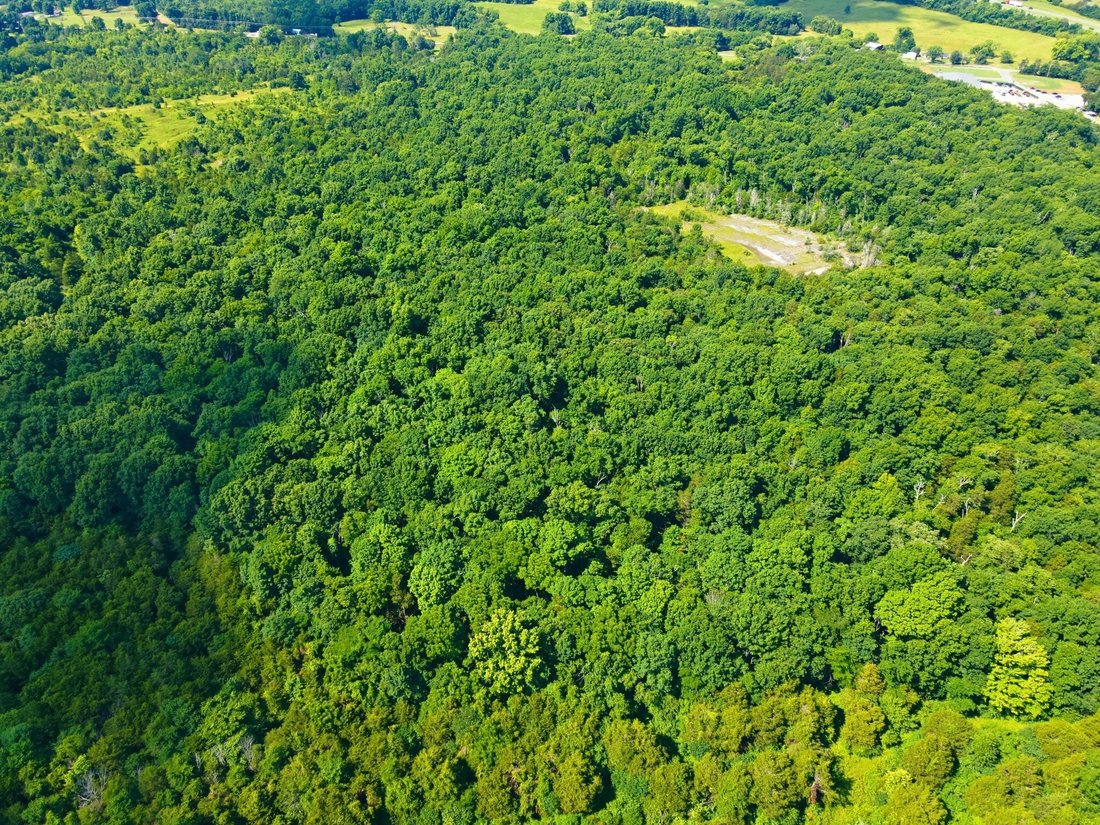 Land in Spring Hill, Tennessee, United States 5 - 17959800