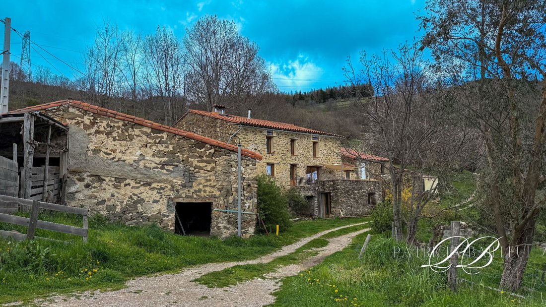 Villa in Montferrer, Occitania, France 2 - 18217765