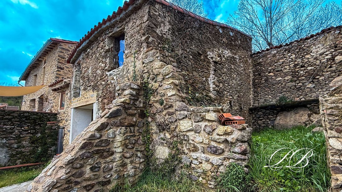 Villa in Montferrer, Occitania, France 3 - 18217765