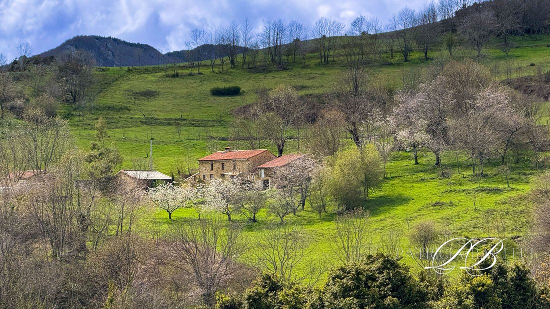 Villa in Montferrer, Occitania, France 5 - 18217765