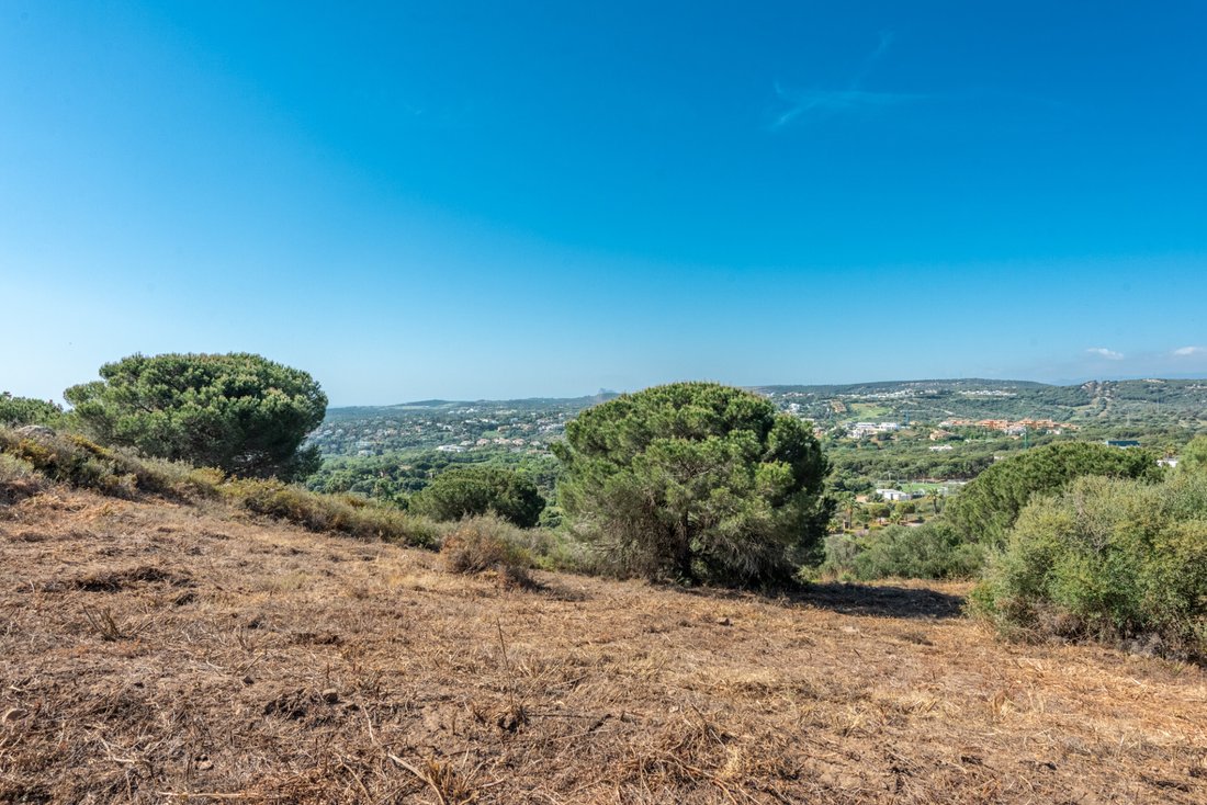 Land in Sotogrande, San Roque, Andalusia 5 - 18219092