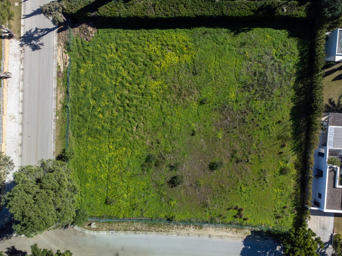 Land in Sotogrande, San Roque, Andalusia 4 - 18219281