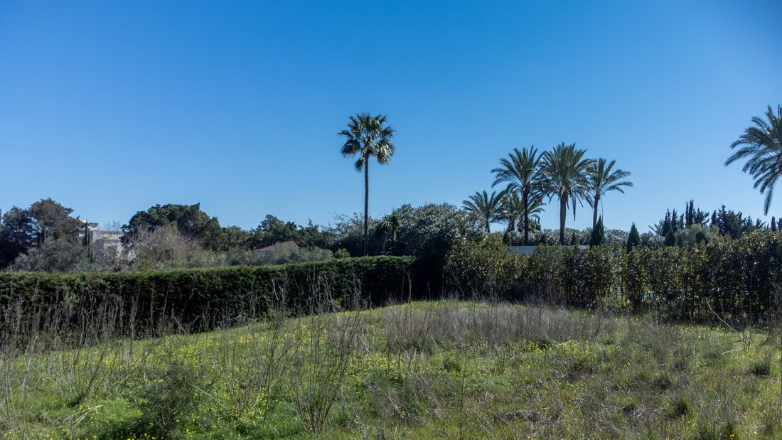 Land in Sotogrande, San Roque, Andalusia 5 - 18219281