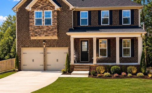 House in Hampton, Georgia, United States 1