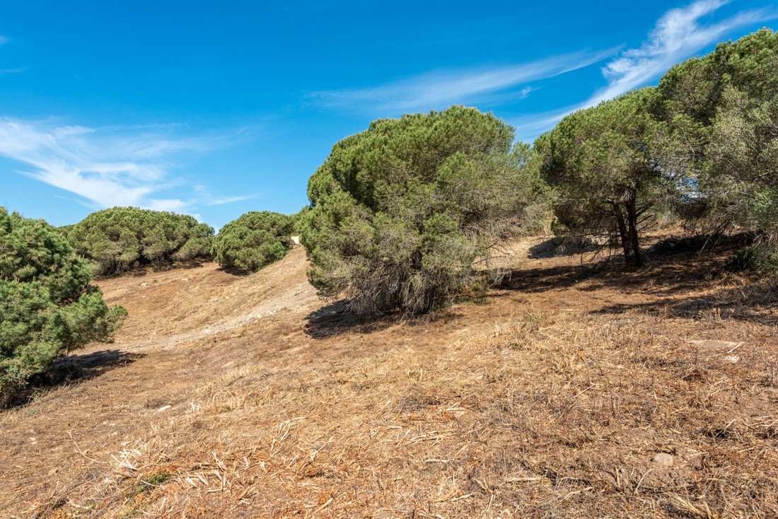 Land in Sotogrande, San Roque, Andalusia 4 - 18219092