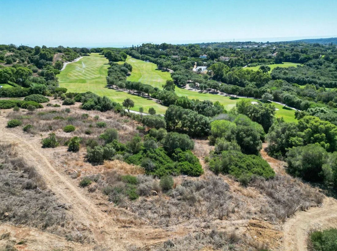 Land in Sotogrande, San Roque, Andalusia 1 - 18219264