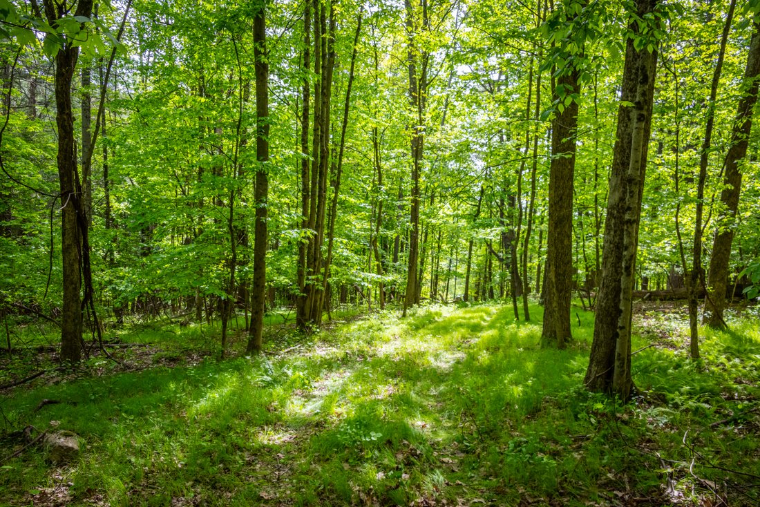 Land in Canaan, Connecticut, United States 2 - 18219559