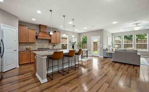 House in McKinney, Texas, United States 1