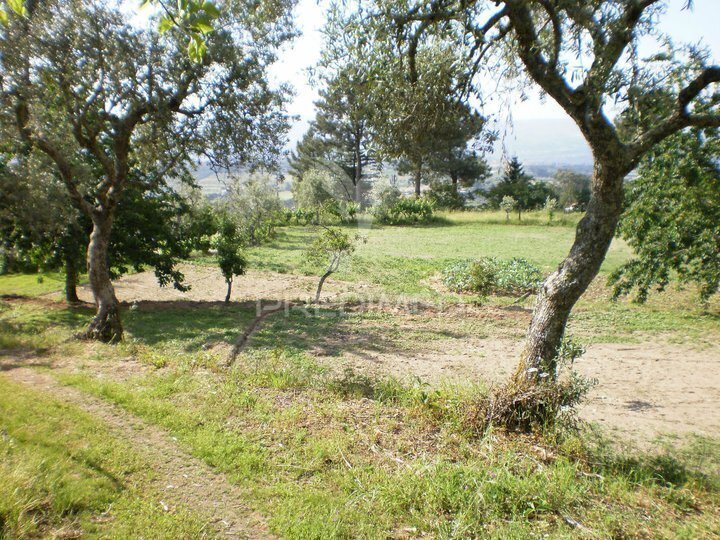 Farm Ranch in Gouveia, Guarda District, Portugal 4 - 18220636