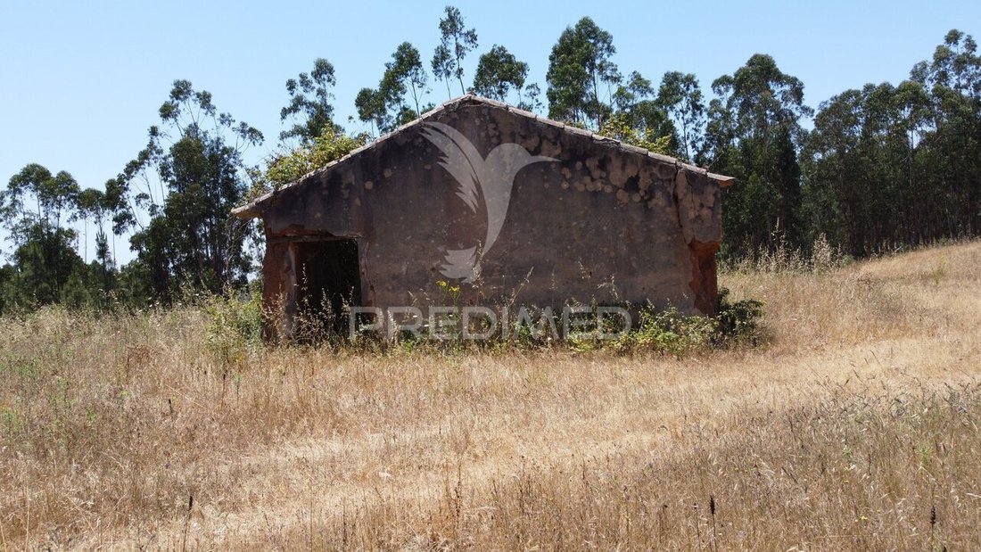 Farm Ranch in Sao Salvador e Santa Maria, Beja, Portugal 2 - 18220686