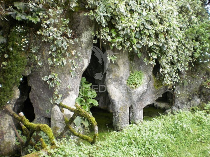 Farm Ranch in Gouveia, Guarda District, Portugal 5 - 18220636
