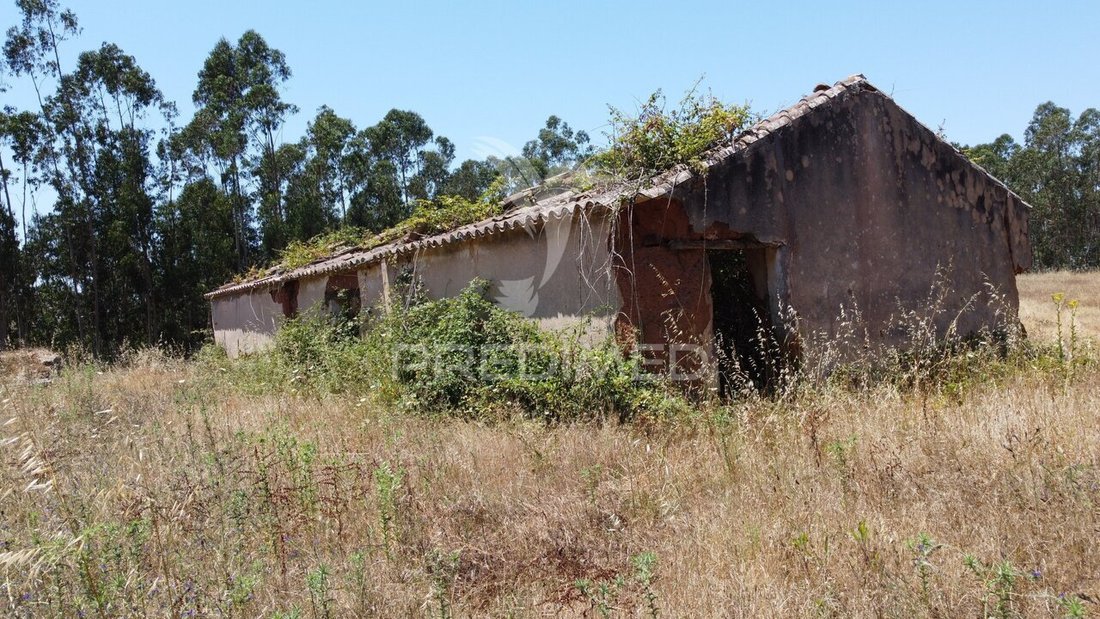 Farm Ranch in Sao Salvador e Santa Maria, Beja, Portugal 1 - 18220686