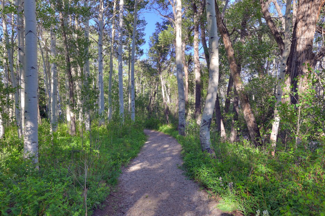 Buena Vista, Colorado, United States 5 - 18219560