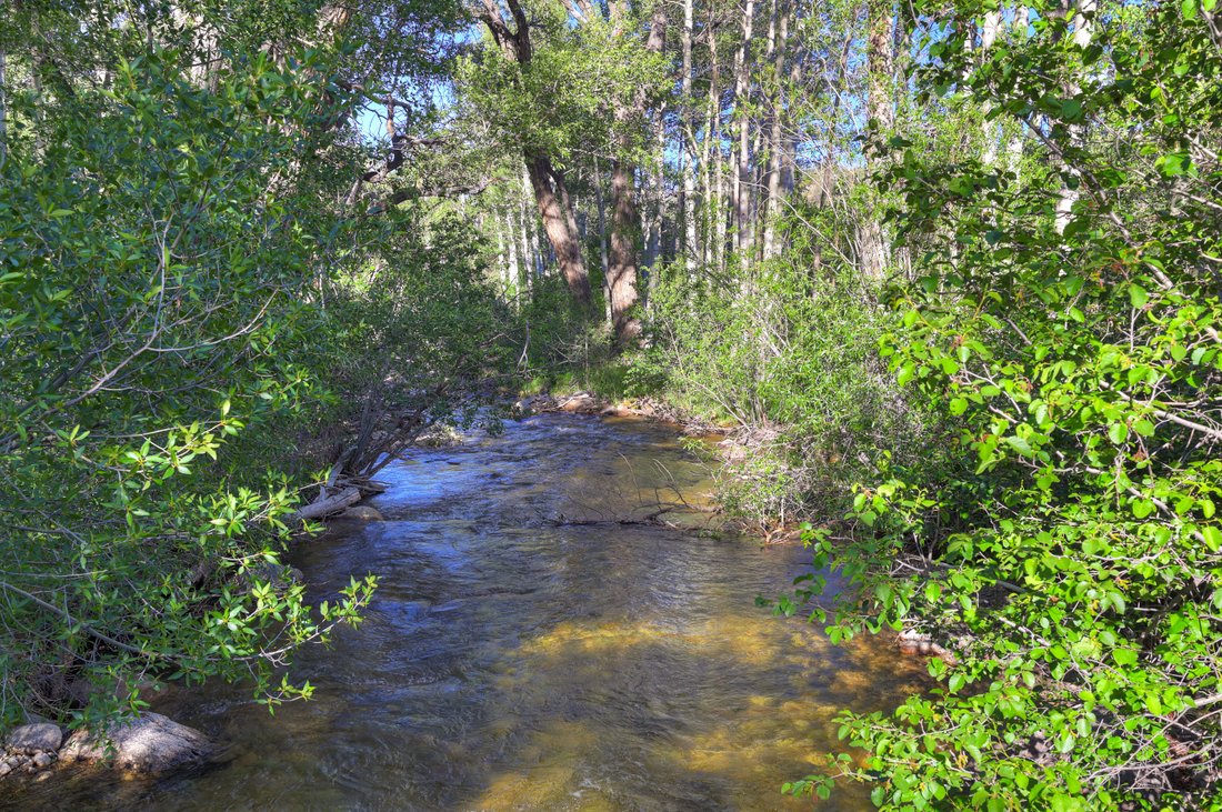 Buena Vista, Colorado, United States 3 - 18219560